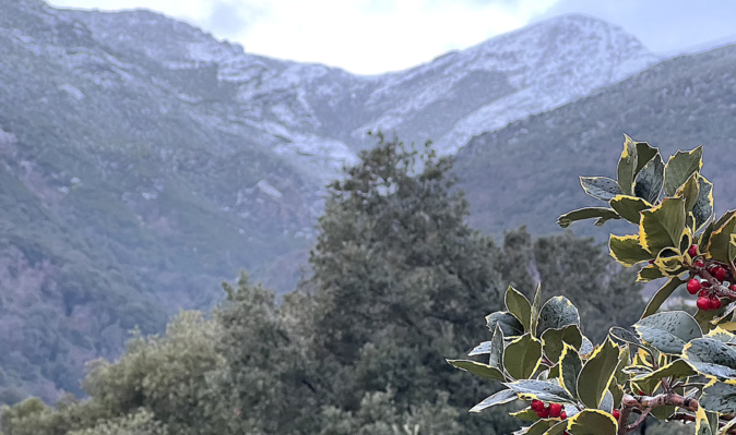 Neige, verglas et avalanches : vos images, mais la Corse toujours en "jaune"