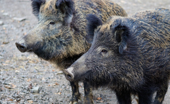 Photo illustration Photo illustration