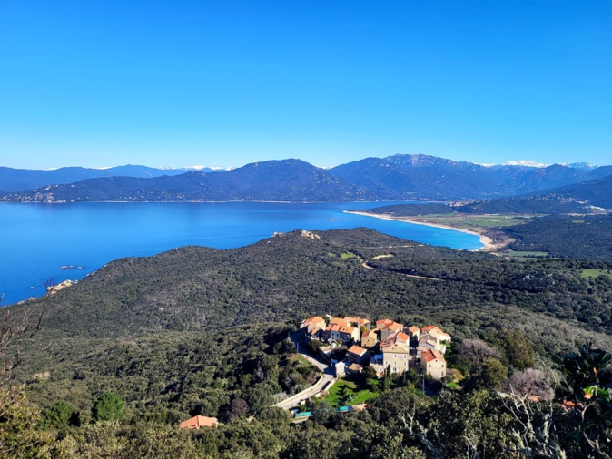 (José Multedo) (José Multedo)