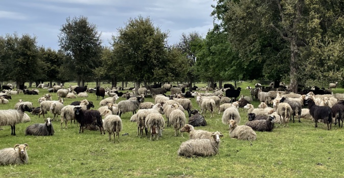 Photo CNI. Photo CNI.