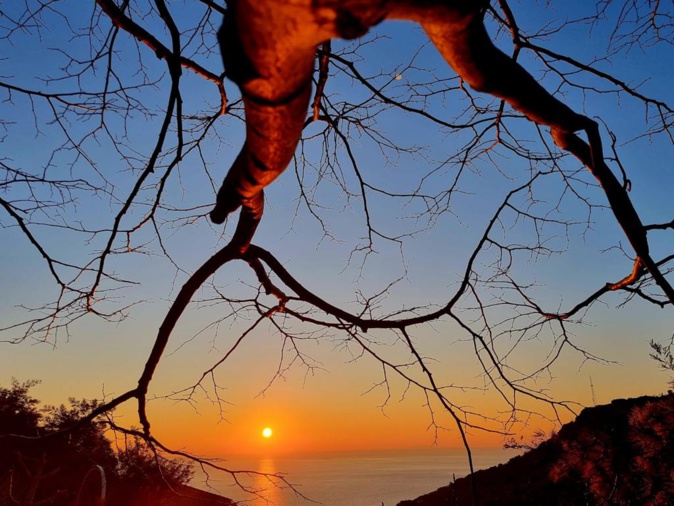 (Marité Valery) (Marité Valery)