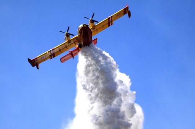 Incendie d'Albertacce : 45 hectares, déjà, ravagés Incendie d'Albertacce : 45 hectares, déjà, ravagés