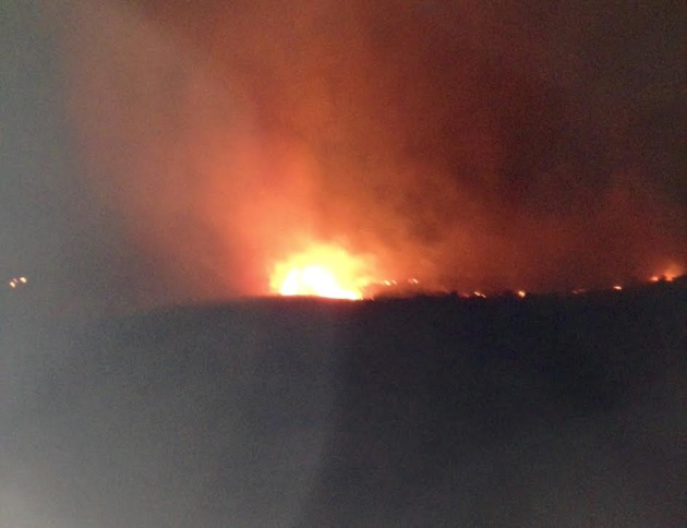 Incendie d'Albertacce : 600 hectares détruits ! Incendie d'Albertacce : 600 hectares détruits !