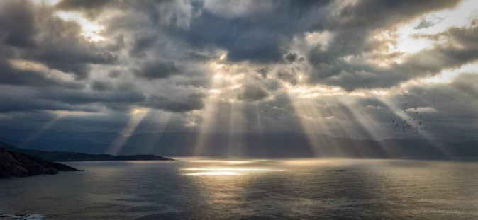 (Jean-Claude Camu) (Jean-Claude Camu)