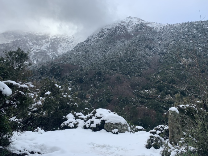 La neige a étendu son blanc manteau sur la Corse, jusqu'à basse altitude. La neige a étendu son blanc manteau sur la Corse, jusqu'à basse altitude.