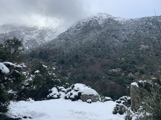 La neige a étendu son blanc manteau sur la Corse, jusqu'à basse altitude.