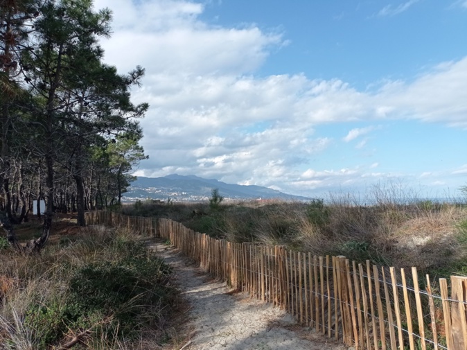 Furiani : la dune du site de Banda Bianca réhabilitée Furiani : la dune du site de Banda Bianca réhabilitée