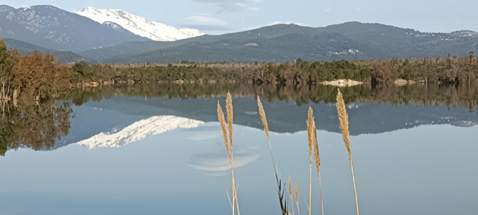 La photo du jour : reflet hivernal sur le plan d'eau d'Alzitone
