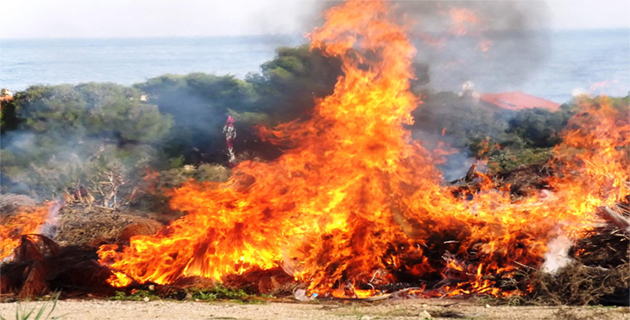 Incendies : 15 hectares détruits sur les hauteurs de Ghisoni