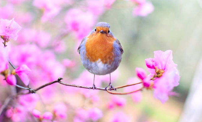 Photo illustration Photo illustration