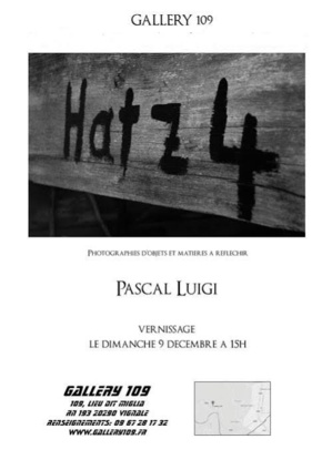 Pascal Luigi à la Gallery 109