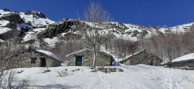 La photo du jour : Les bergeries de Capanelle La photo du jour : Les bergeries de Capanelle