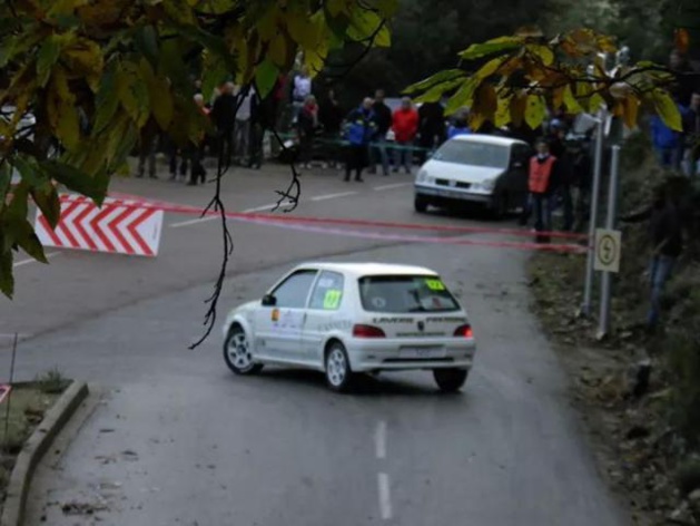 Laura Salvini Laura Salvini