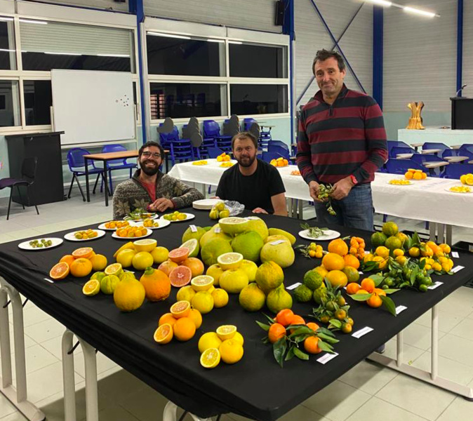 Une journée pour découvrir les 1 100 variétés d’agrumes de San Giulianu Une journée pour découvrir les 1 100 variétés d’agrumes de San Giulianu