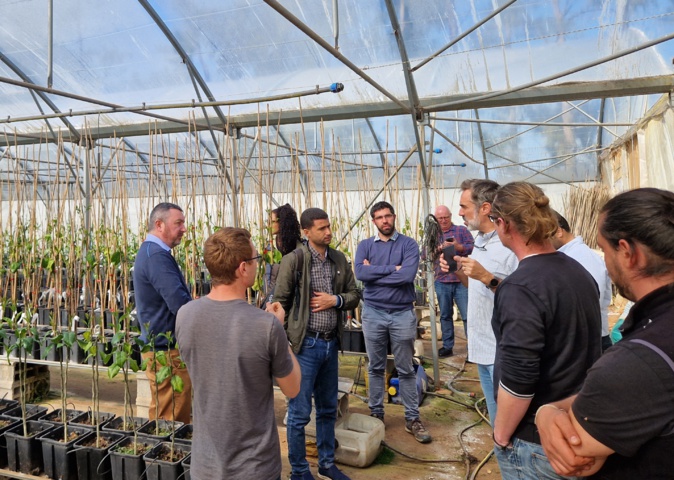 Agrumiculture : la Corse un exemple pour l'Arabie Saoudite Agrumiculture : la Corse un exemple pour l'Arabie Saoudite