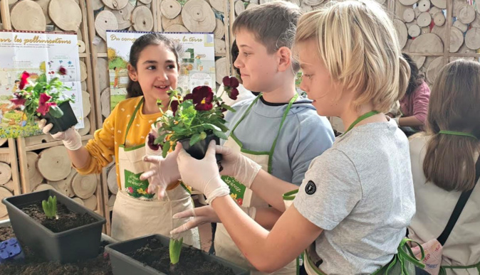 Document CNI Document CNI