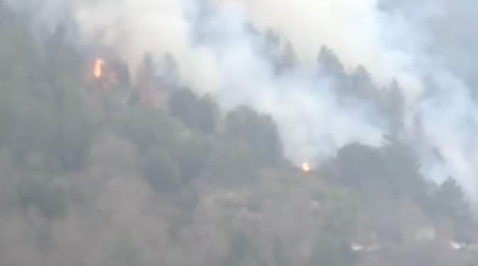 (Association Prevention et signalements de Feux de Forêt) (Association Prevention et signalements de Feux de Forêt)