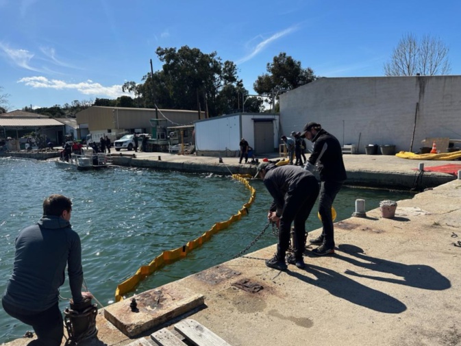 Exercices pratiques à l'étang de Diana Exercices pratiques à l'étang de Diana