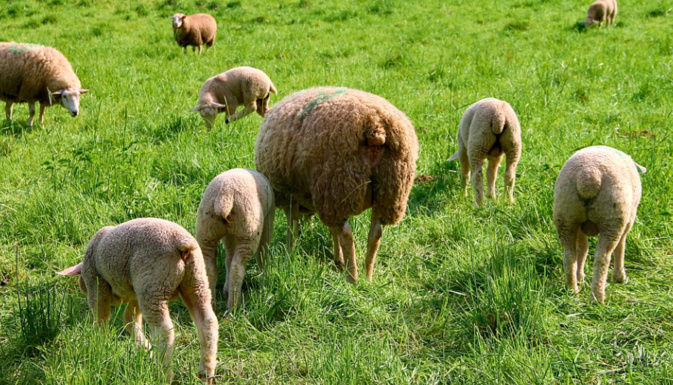 Photo illustration Photo illustration