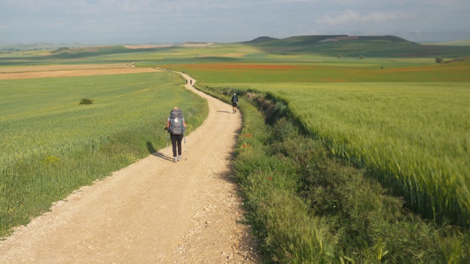 Une association pour "guider" les pèlerins corses vers Saint-Jacques de Compostelle Une association pour "guider" les pèlerins corses vers Saint-Jacques de Compostelle