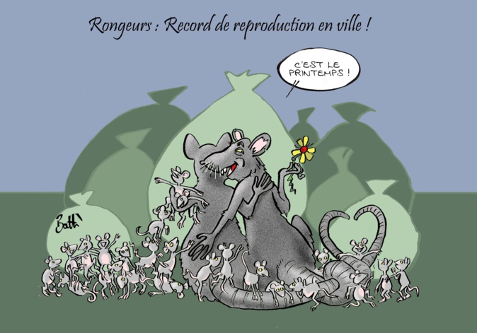 Battì : i topi sont dans la ville Battì : i topi sont dans la ville