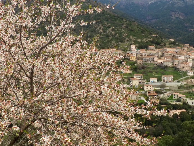 La photo du jour : veranu in Pietralba La photo du jour : veranu in Pietralba