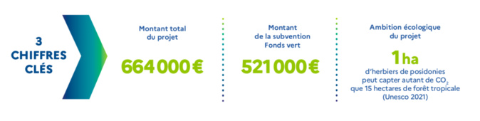Le golfe d'Ajaccio va passer au mouillage écologique : "un scandale" pour les défenseurs de l'environnement Le golfe d'Ajaccio va passer au mouillage écologique : "un scandale" pour les défenseurs de l'environnement