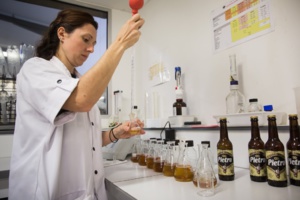 La brasserie Pietra, ce modèle La brasserie Pietra, ce modèle