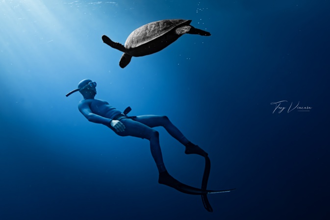 Rencontre avec les tortues de mer (Photo T. Viacara)