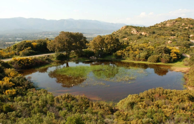 Les 110 "mares temporaires méditerranéennes " de Corse : des trésors de biodiversité à préserver