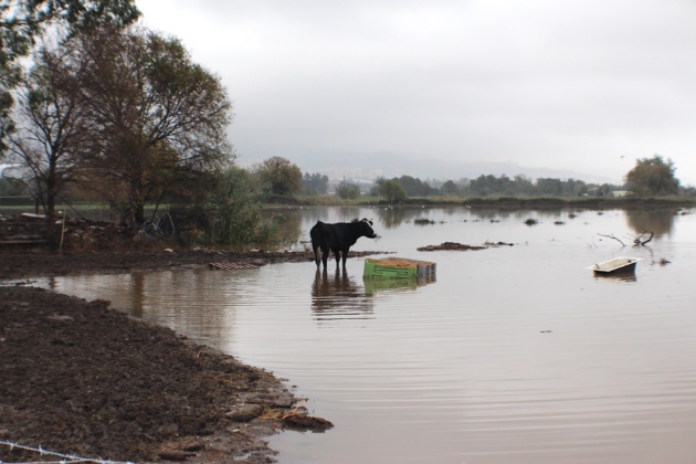 Intempéries : Retour à la normale sur les routes territoriales. Une cinquantaine de foyers sans électricité Intempéries : Retour à la normale sur les routes territoriales. Une cinquantaine de foyers sans électricité