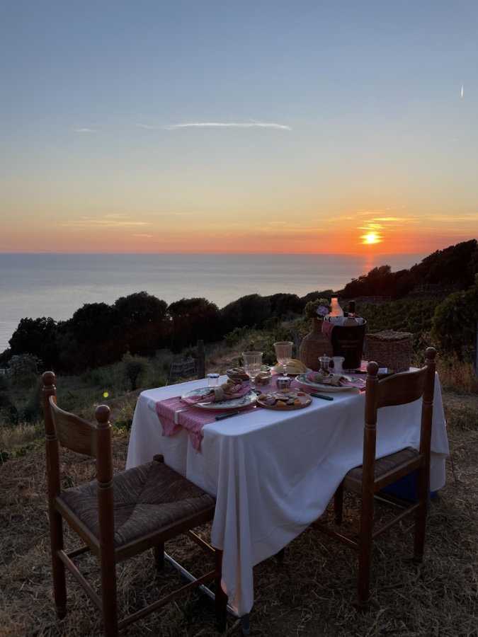 Cap Corse : au Clos Paoli, les vignes se prêtent au jeu des excursions Cap Corse : au Clos Paoli, les vignes se prêtent au jeu des excursions