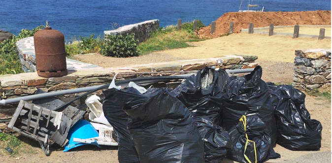 Une partie de la "récolte" Une partie de la "récolte"