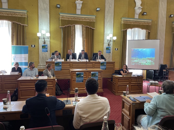 La Corse veut mieux protéger ses herbiers de posidonie La Corse veut mieux protéger ses herbiers de posidonie
