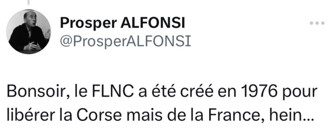 Quand une députée Renaissance apparente les Goumiers au FLNC Quand une députée Renaissance apparente les Goumiers au FLNC