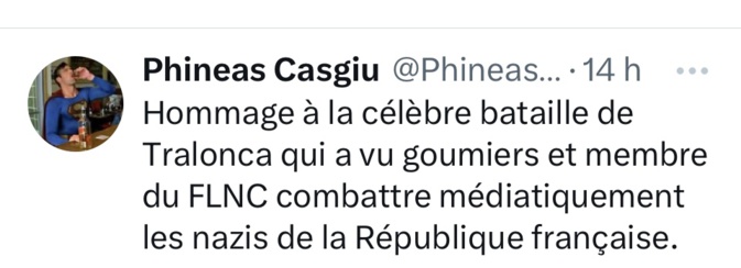 Quand une députée Renaissance apparente les Goumiers au FLNC Quand une députée Renaissance apparente les Goumiers au FLNC