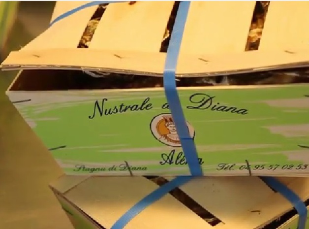 Huîtres et moules de l’étang de Diana : Levée de l'interdiction de commercialisation