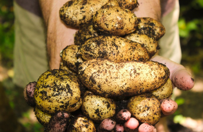 Photo d'illustration Photo d'illustration