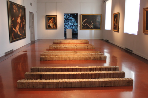 Ajaccio : La nature s'expose dans sa violence au musée Fesch Ajaccio : La nature s'expose dans sa violence au musée Fesch