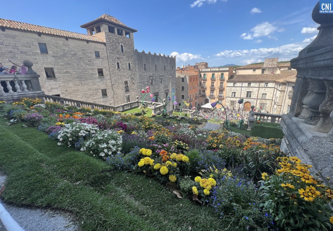 L'escalier majestueux de Santa Maria recouvert d'une montagne de fleurs multicolores. L'escalier majestueux de Santa Maria recouvert d'une montagne de fleurs multicolores.