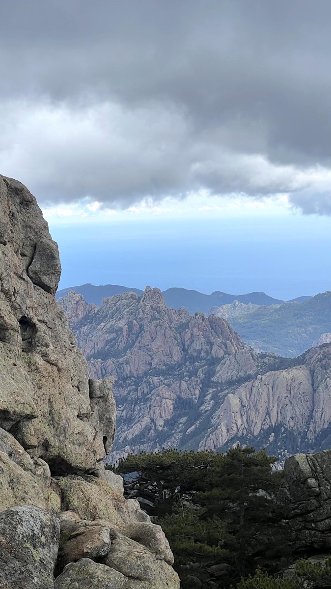 La photo du jour : A cruci à a leccia di Bavedda La photo du jour : A cruci à a leccia di Bavedda