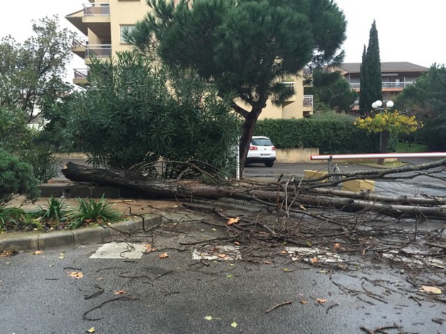 La Balagne n'a pas été épargnée par les intempéries La Balagne n'a pas été épargnée par les intempéries