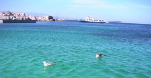 Les îles Lavezzi. Photo CNI. Les îles Lavezzi. Photo CNI.