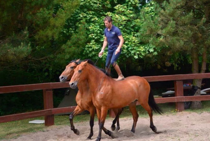 Photo d'illustration page Facebook Cavalli in Festa Photo d'illustration page Facebook Cavalli in Festa