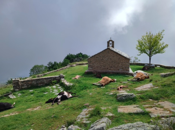 Document CNI Document CNI