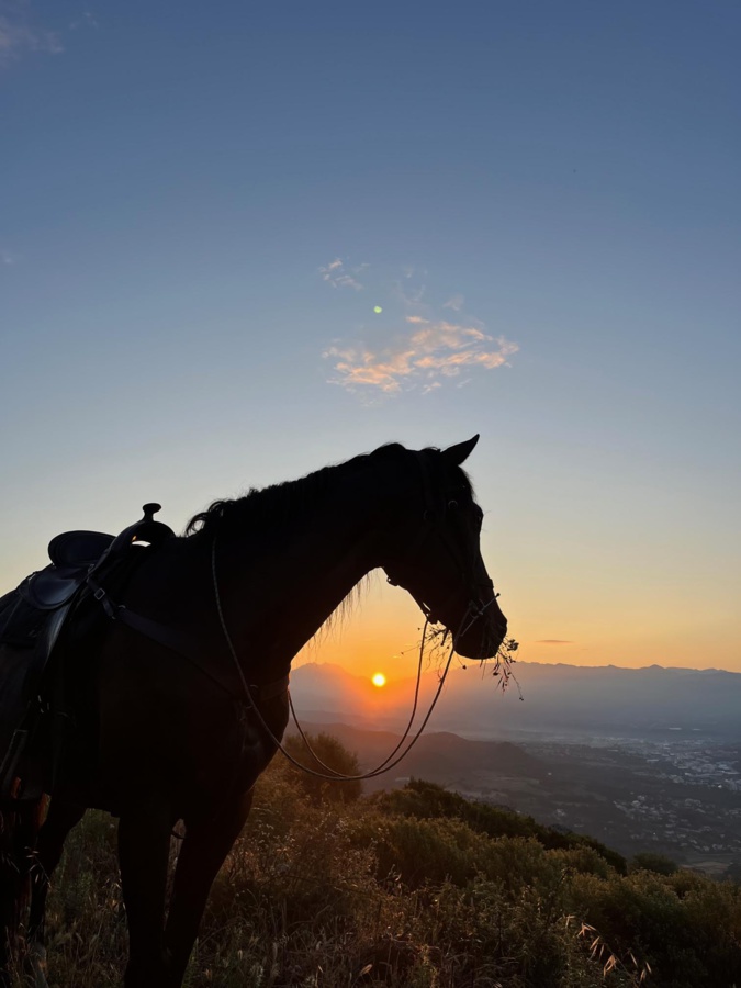 La photo du jour : pisata di u sole nant’Aiacciu La photo du jour : pisata di u sole nant’Aiacciu
