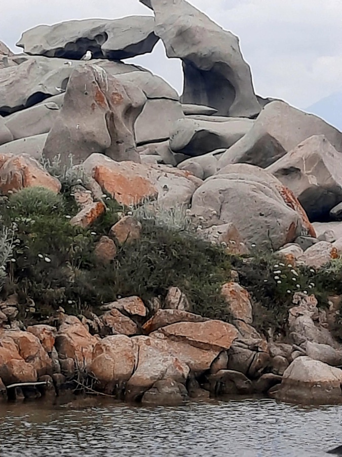 La photo du jour : Quand les rochers s'embrassent aux Lavezzi…
