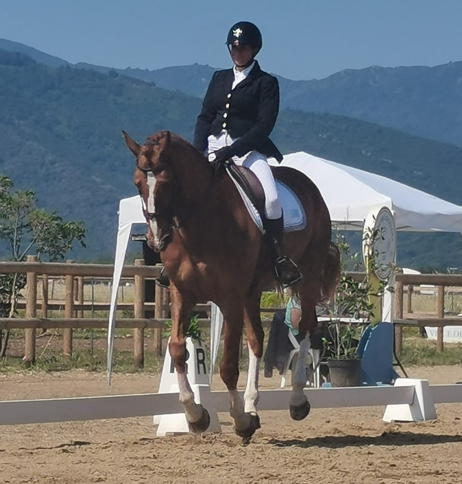 Le circuit Grand Régional de Dressage Corse est soutenu par le Comité Régional d'Equitation Corse. Le circuit Grand Régional de Dressage Corse est soutenu par le Comité Régional d'Equitation Corse.