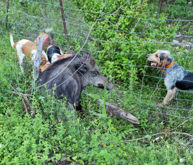 Photo d'illustration Photo d'illustration