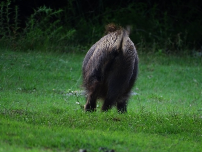 Photos Mario GRAZI Photos Mario GRAZI